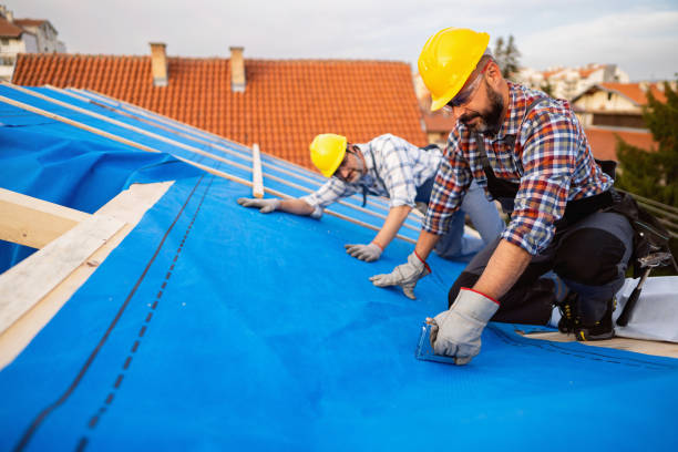 Best Roof Gutter Cleaning  in Lovington, NM