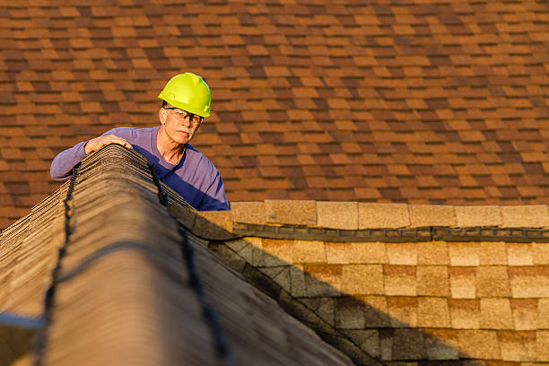 Roof Gutter Cleaning in Lovington, NM